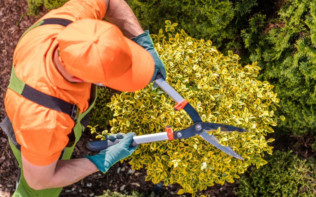 Landscaper